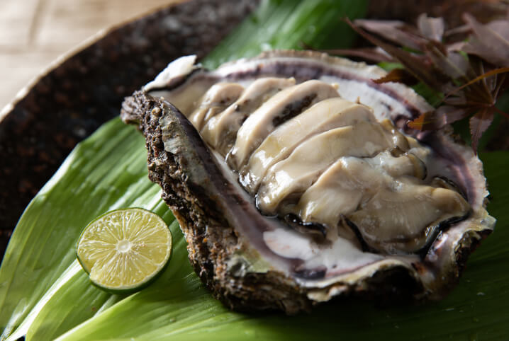 rock oyster sashimi